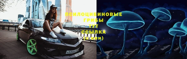 стаф Волоколамск