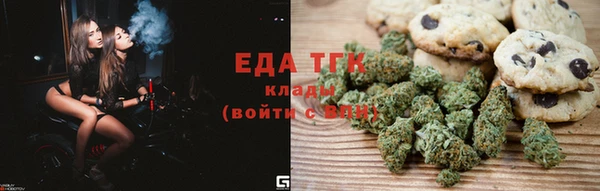 гидра Верхний Тагил