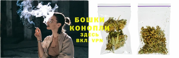 стаф Володарск