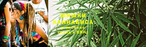 гидра Верхний Тагил