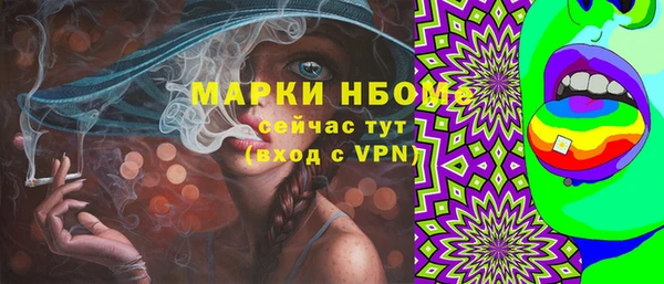 гидра Верхний Тагил