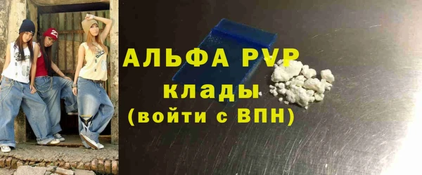стаф Волоколамск
