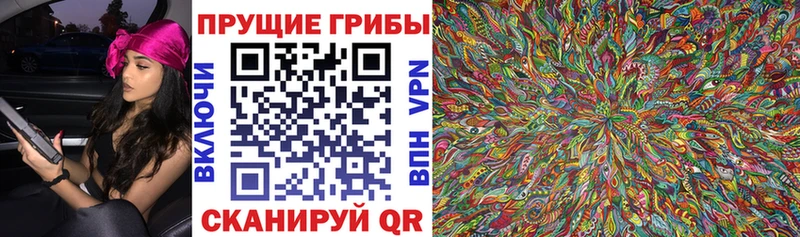 где купить наркоту  Липки  Псилоцибиновые грибы мицелий 